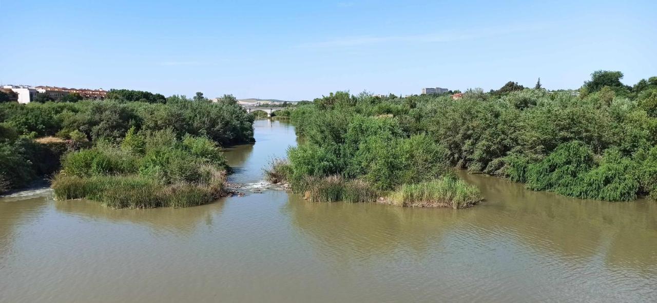 La Pequena Taifa I Leilighet Córdoba Eksteriør bilde